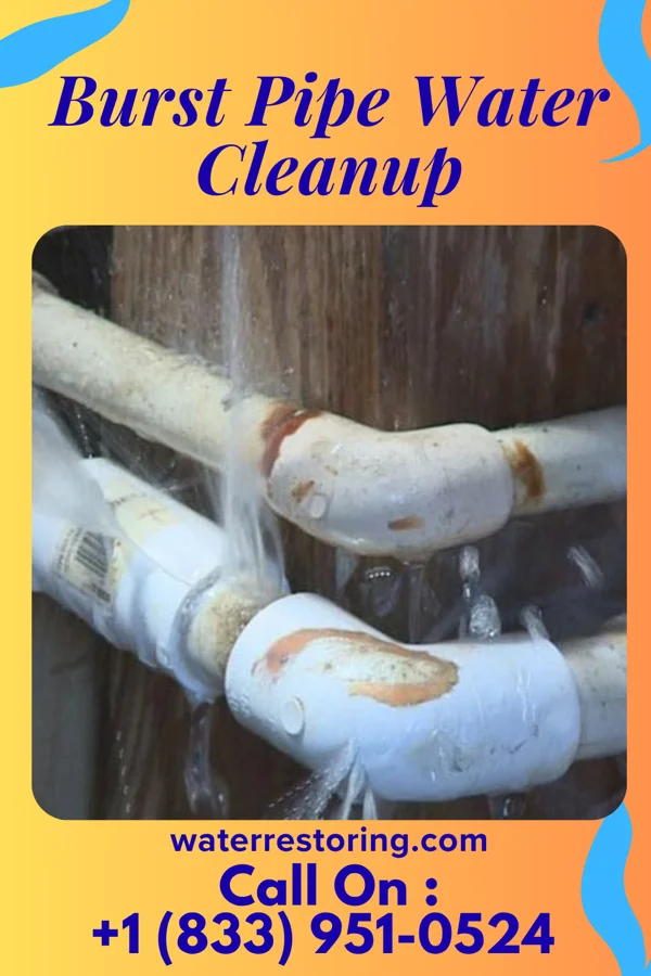 Burst Pipe Water Cleanup in Burr Oak, MI