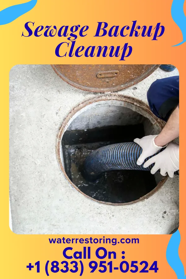Sewage Backup Cleanup in Burr Oak, MI